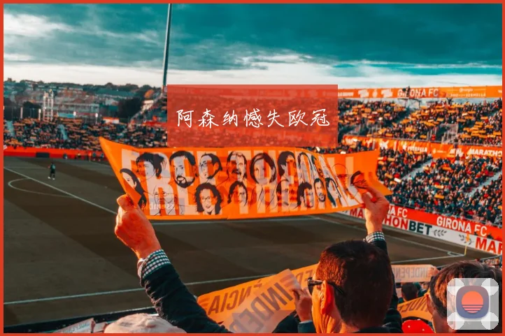 阿森纳憾失欧冠